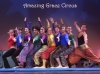 Mr. Amazing's Circus Show & Exploratorium
