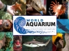 World Aquarium