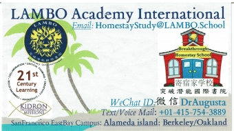 LAMBO Academy International Logo