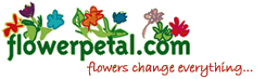 FlowerPetal Chicago Logo