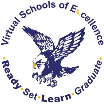 Virtual Schools of Excellence Logo
